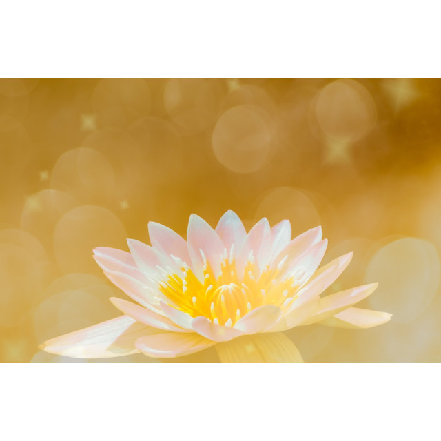 中式簡約環保專案