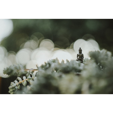 中式精緻典雅專案