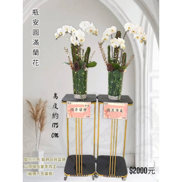 瓶安圓滿蘭花