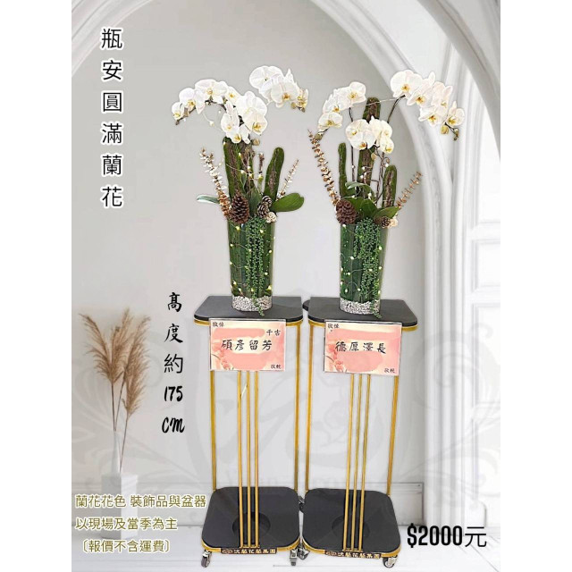 瓶安圓滿蘭花