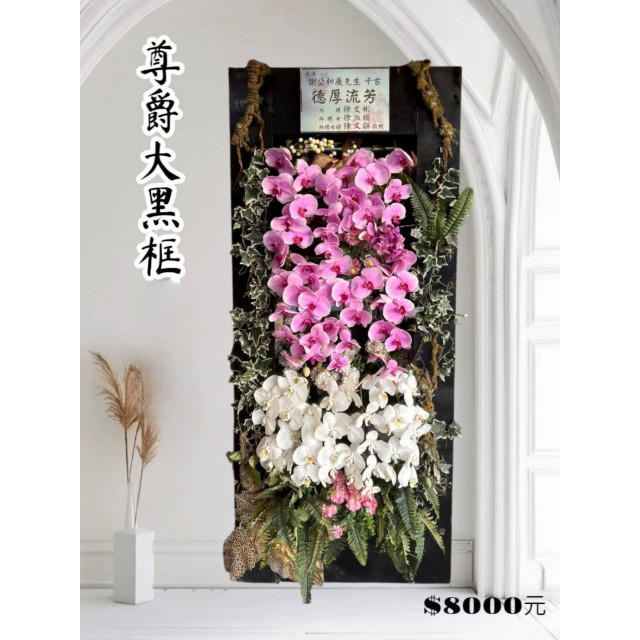 尊爵大黑框蘭花